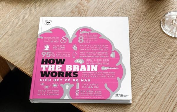 Sách How The Brain Works – Hiểu Hết Về Bộ Não